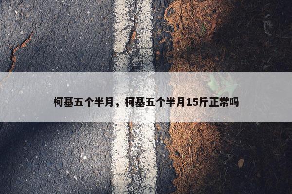 柯基五个半月，柯基五个半月15斤正常吗