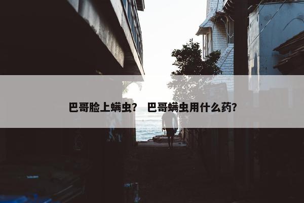 巴哥脸上螨虫？ 巴哥螨虫用什么药？