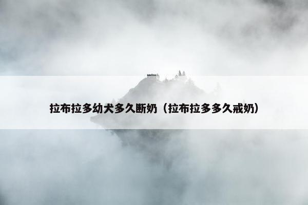 拉布拉多幼犬多久断奶（拉布拉多多久戒奶）