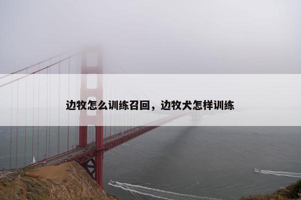 边牧怎么训练召回，边牧犬怎样训练