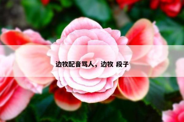 边牧配音骂人，边牧 段子