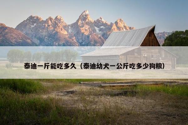 泰迪一斤能吃多久（泰迪幼犬一公斤吃多少狗粮）