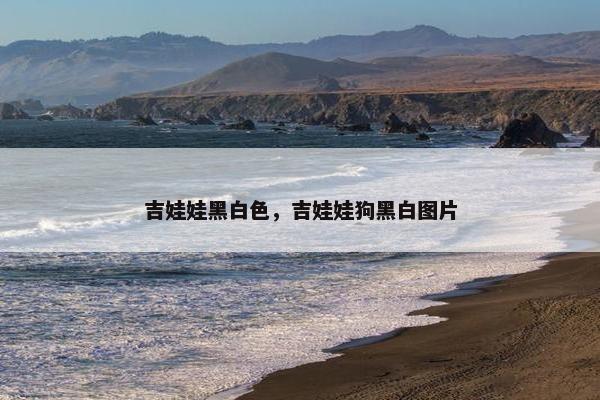 吉娃娃黑白色，吉娃娃狗黑白图片