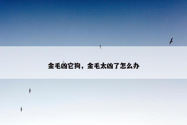 金毛凶它狗，金毛太凶了怎么办