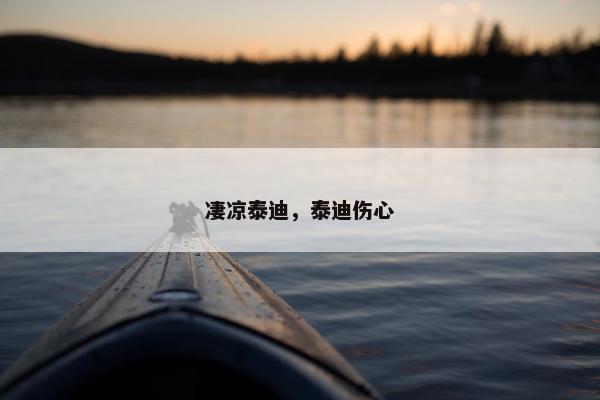 凄凉泰迪，泰迪伤心