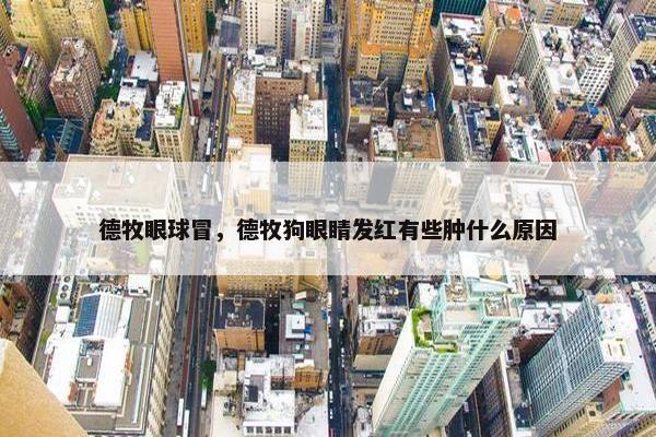德牧眼球冒，德牧狗眼睛发红有些肿什么原因