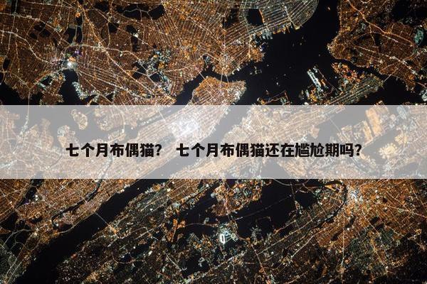 七个月布偶猫？ 七个月布偶猫还在尴尬期吗？