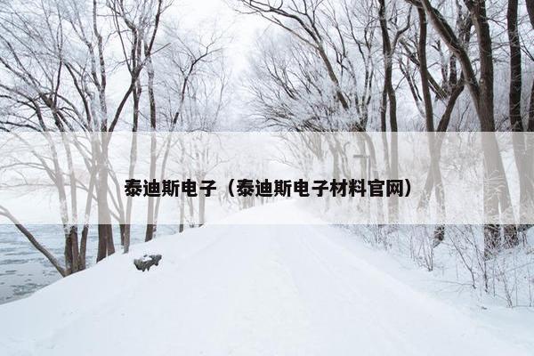 泰迪斯电子（泰迪斯电子材料官网）