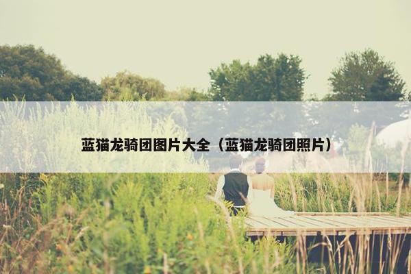 蓝猫龙骑团图片大全（蓝猫龙骑团照片）
