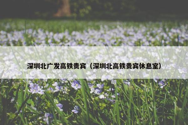 深圳北广发高铁贵宾（深圳北高铁贵宾休息室）