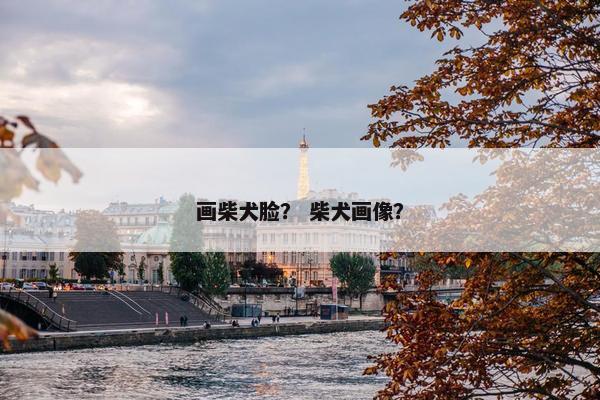 画柴犬脸？ 柴犬画像？