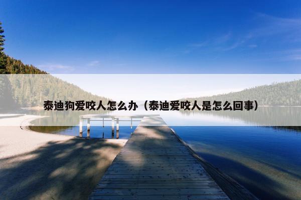 泰迪狗爱咬人怎么办（泰迪爱咬人是怎么回事）