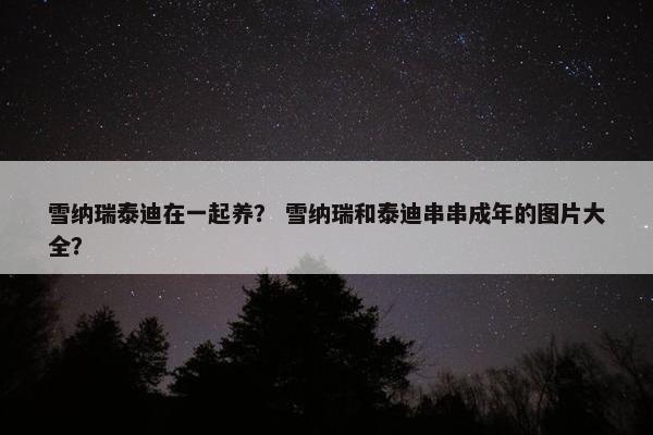 雪纳瑞泰迪在一起养？ 雪纳瑞和泰迪串串成年的图片大全？