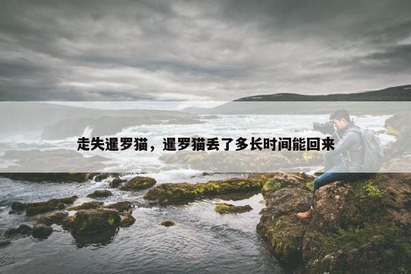 走失暹罗猫，暹罗猫丢了多长时间能回来