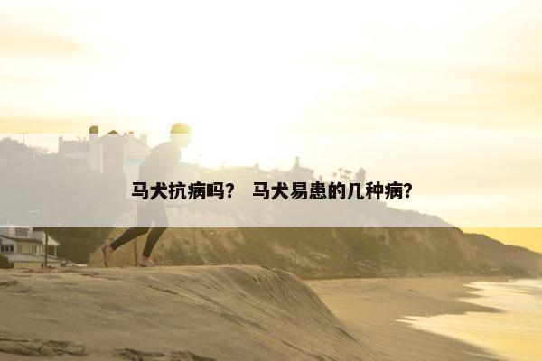 马犬抗病吗？ 马犬易患的几种病？