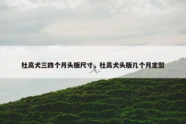 杜高犬三四个月头版尺寸，杜高犬头版几个月定型