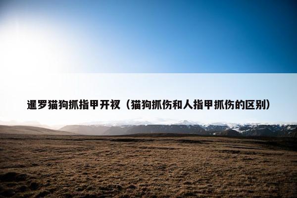 暹罗猫狗抓指甲开衩（猫狗抓伤和人指甲抓伤的区别）