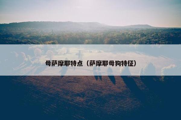 母萨摩耶特点（萨摩耶母狗特征）
