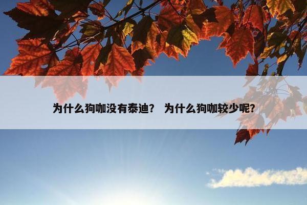 为什么狗咖没有泰迪？ 为什么狗咖较少呢？