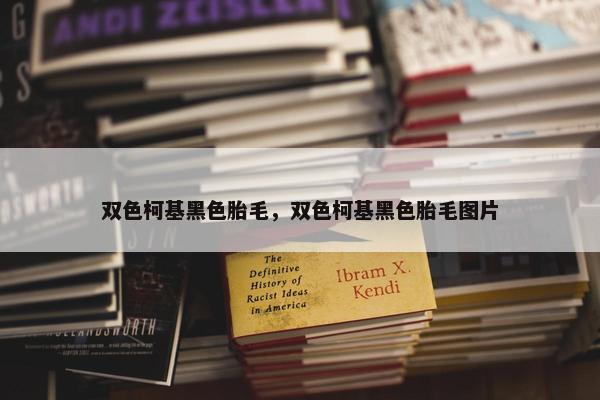 双色柯基黑色胎毛，双色柯基黑色胎毛图片