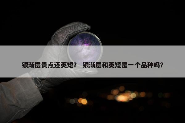 银渐层贵点还英短？ 银渐层和英短是一个品种吗？