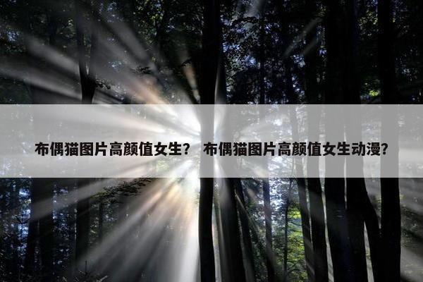 布偶猫图片高颜值女生？ 布偶猫图片高颜值女生动漫？