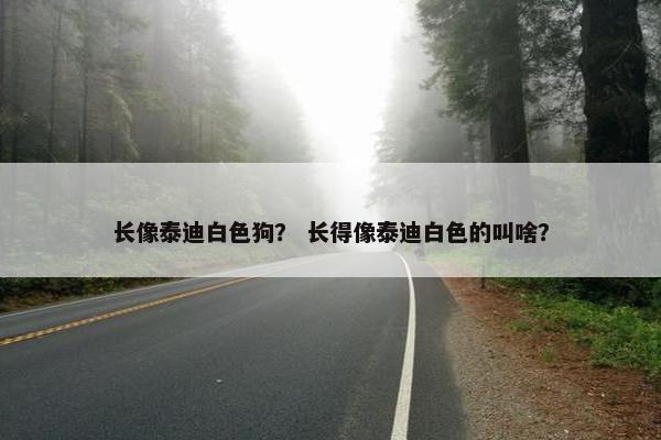 长像泰迪白色狗？ 长得像泰迪白色的叫啥？