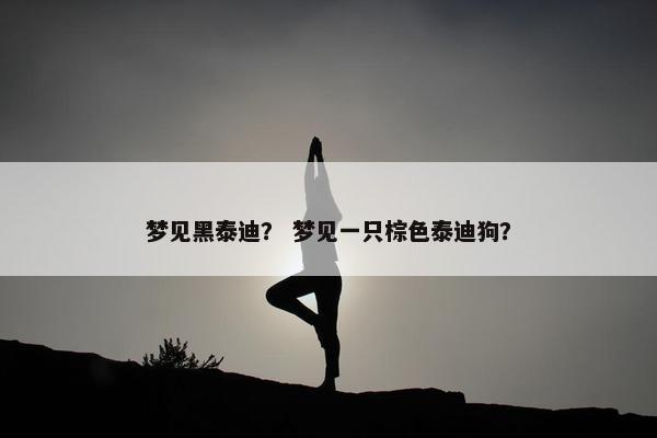 梦见黑泰迪？ 梦见一只棕色泰迪狗？