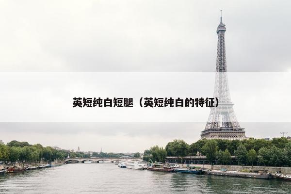 英短纯白短腿（英短纯白的特征）