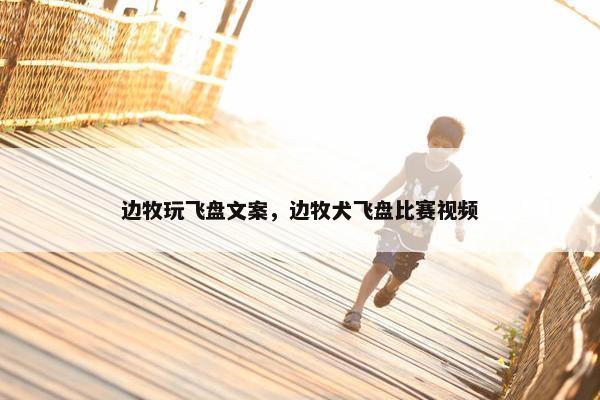 边牧玩飞盘文案，边牧犬飞盘比赛视频