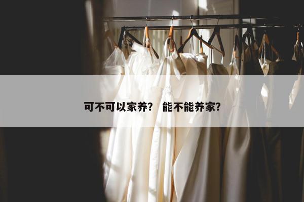 可不可以家养？ 能不能养家？