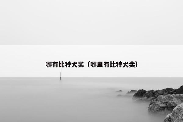 哪有比特犬买（哪里有比特犬卖）