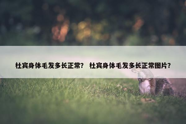 杜宾身体毛发多长正常？ 杜宾身体毛发多长正常图片？