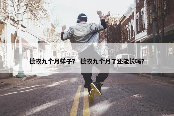 德牧九个月样子？ 德牧九个月了还能长吗？