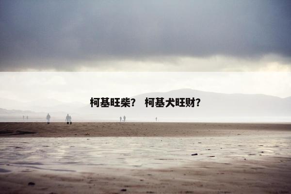 柯基旺柴？ 柯基犬旺财？