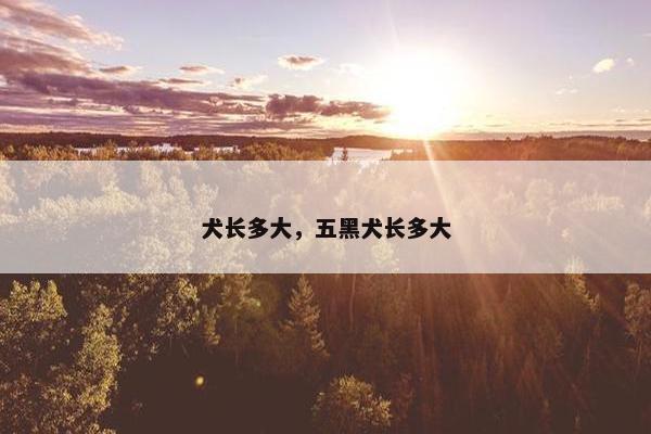 犬长多大，五黑犬长多大