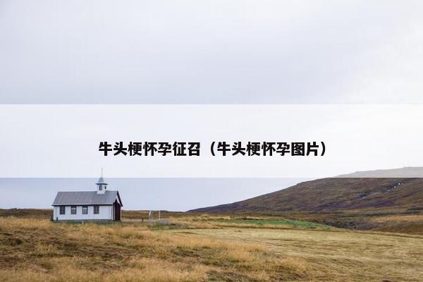 牛头梗怀孕征召（牛头梗怀孕图片）