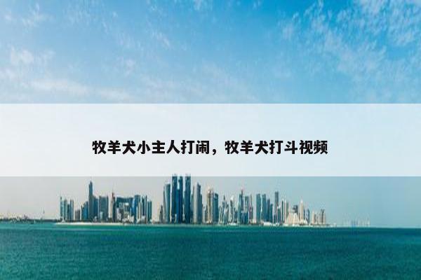 牧羊犬小主人打闹，牧羊犬打斗视频