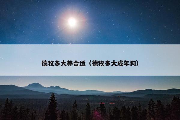 德牧多大养合适（德牧多大成年狗）