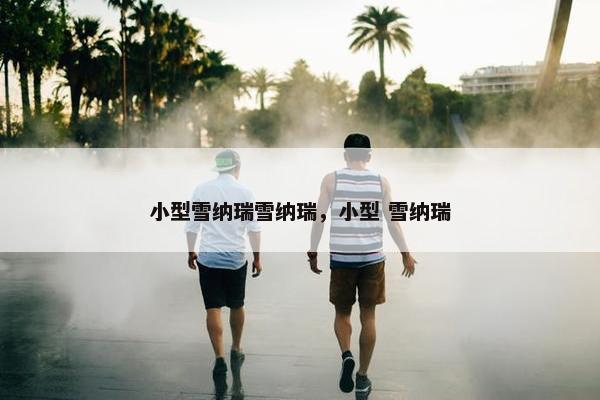 小型雪纳瑞雪纳瑞，小型 雪纳瑞