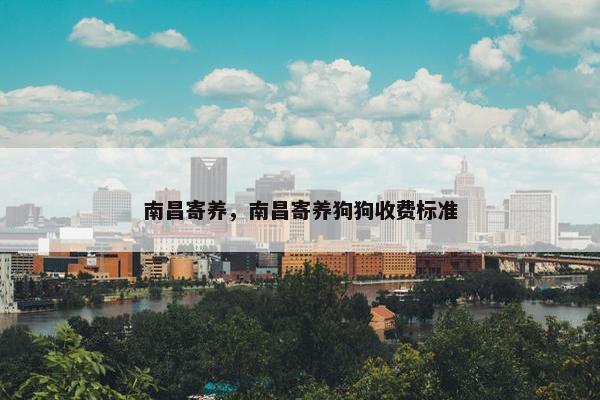 南昌寄养，南昌寄养狗狗收费标准