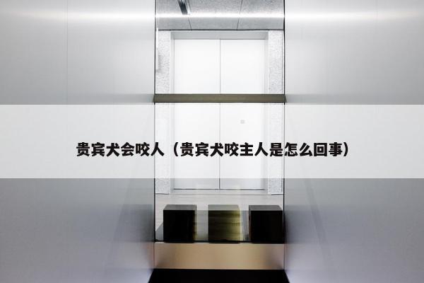 贵宾犬会咬人（贵宾犬咬主人是怎么回事）
