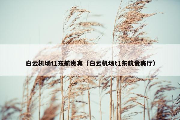 白云机场t1东航贵宾（白云机场t1东航贵宾厅）