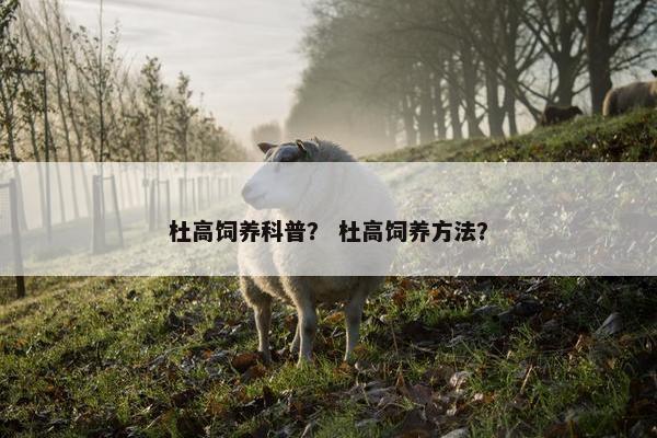 杜高饲养科普？ 杜高饲养方法？