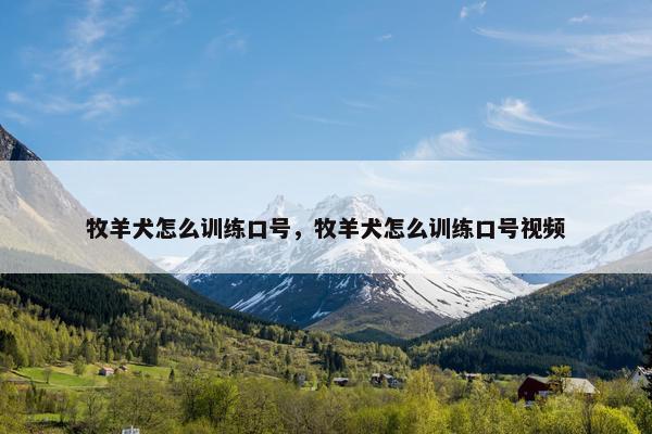 牧羊犬怎么训练口号，牧羊犬怎么训练口号视频