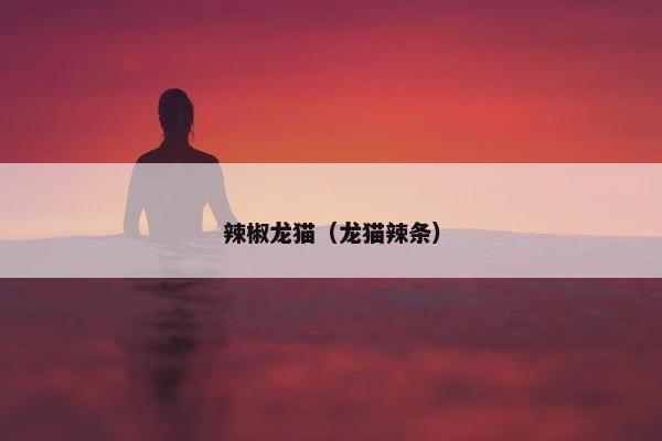 辣椒龙猫（龙猫辣条）