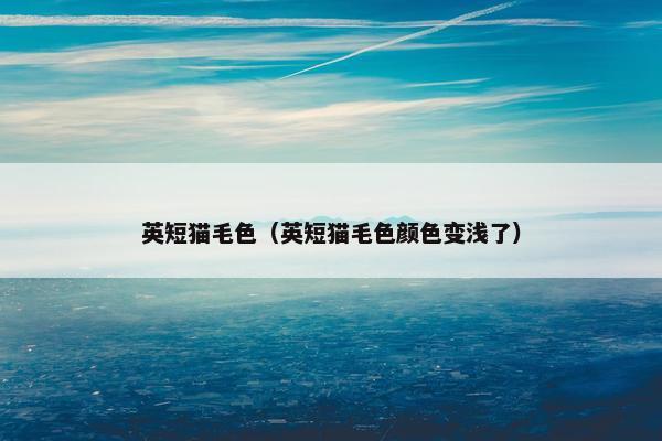 英短猫毛色（英短猫毛色颜色变浅了）