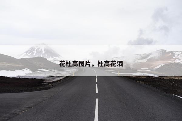花杜高图片，杜高花洒