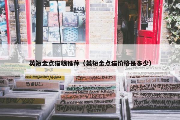英短金点猫粮推荐（英短金点猫价格是多少）