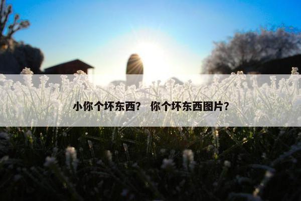 小你个坏东西？ 你个坏东西图片？